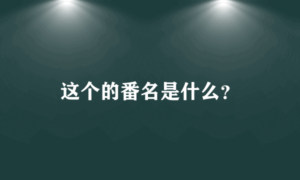 这个的番名是什么？