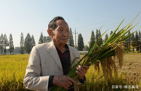 袁隆平的资料。