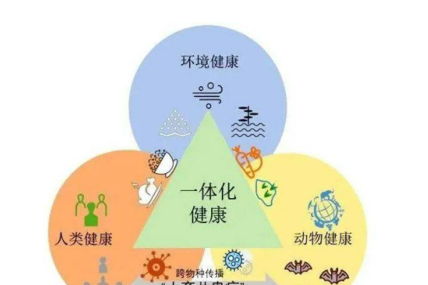 人和畜禽的关系是什么？