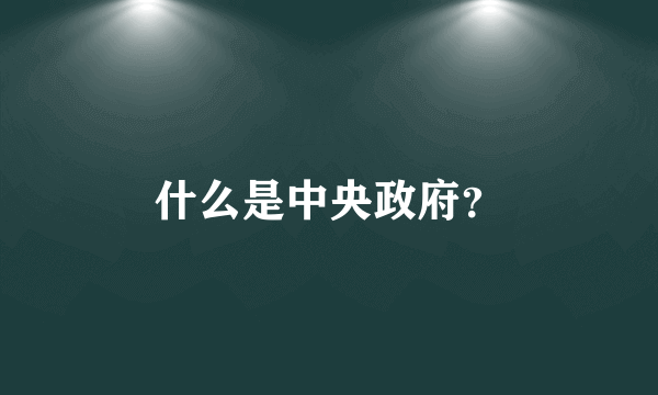 什么是中央政府？