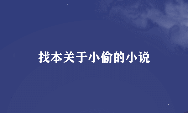 找本关于小偷的小说