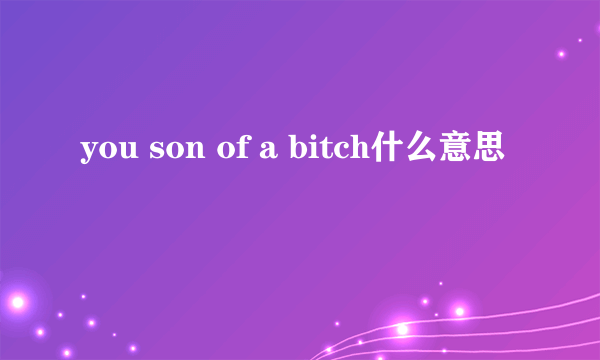 you son of a bitch什么意思