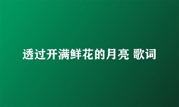 透过开满鲜花的月亮 歌词