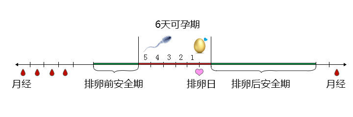 紧急避孕药什么时候吃最有效