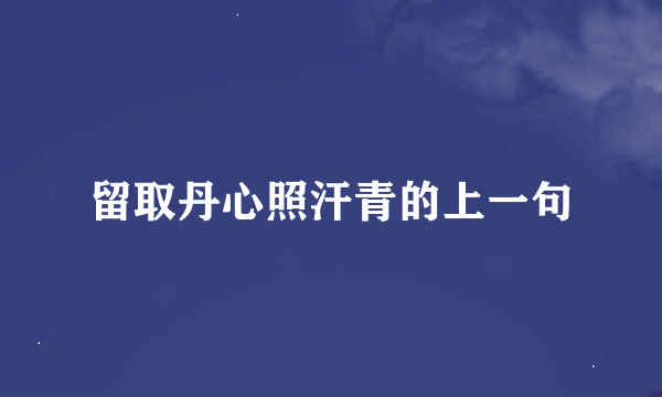 留取丹心照汗青的上一句