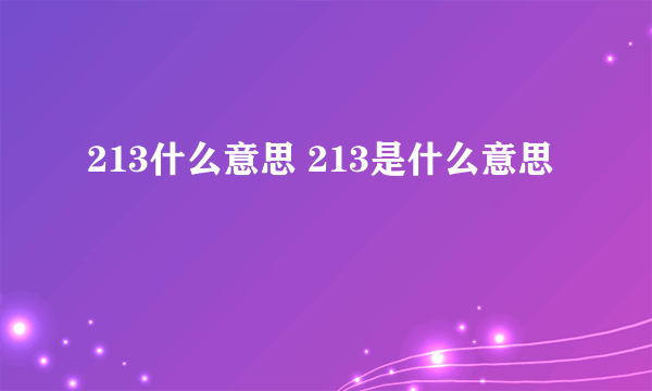 213什么意思 213是什么意思