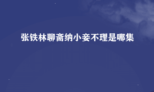 张铁林聊斋纳小妾不理是哪集