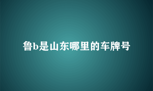 鲁b是山东哪里的车牌号