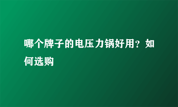 哪个牌子的电压力锅好用？如何选购