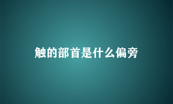 触的部首是什么偏旁