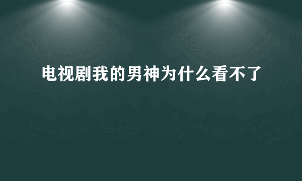 电视剧我的男神为什么看不了