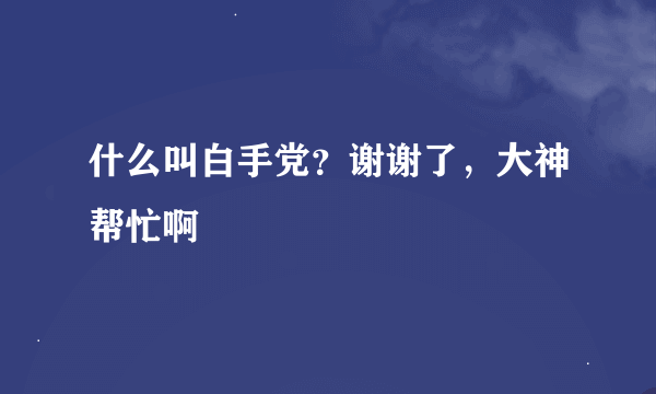 什么叫白手党？谢谢了，大神帮忙啊