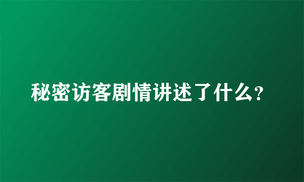 秘密访客剧情讲述了什么？