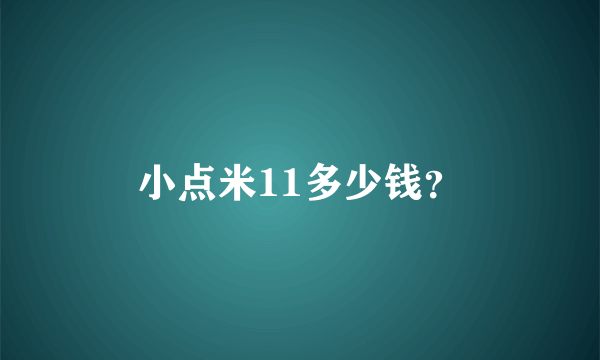 小点米11多少钱？