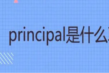 principle是什么意思