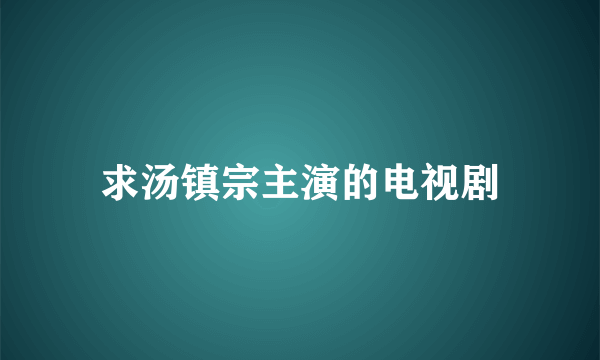 求汤镇宗主演的电视剧