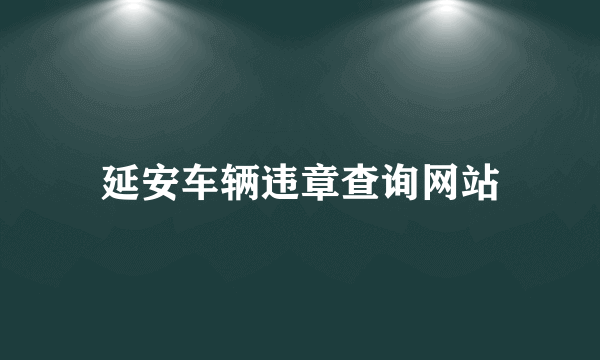 延安车辆违章查询网站