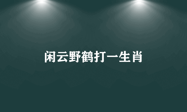 闲云野鹤打一生肖