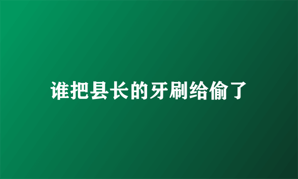 谁把县长的牙刷给偷了