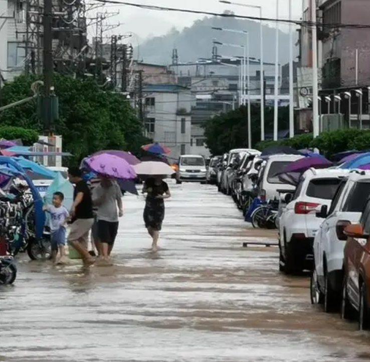 梅花将再登辽宁，大连等地将现大暴雨！应该做好哪些措施？