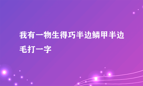 我有一物生得巧半边鳞甲半边毛打一字