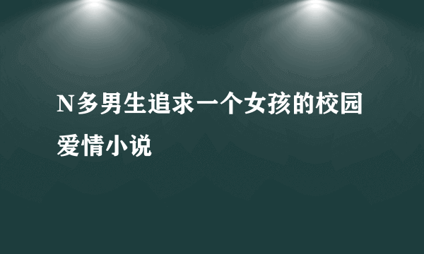 N多男生追求一个女孩的校园爱情小说