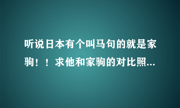 听说日本有个叫马句的就是家驹！！求他和家驹的对比照（越多越好！）和详细介绍！！或者是视频！谢谢！！