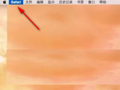 safari flash插件故障怎么办 mac safari flash插件故障解决方法