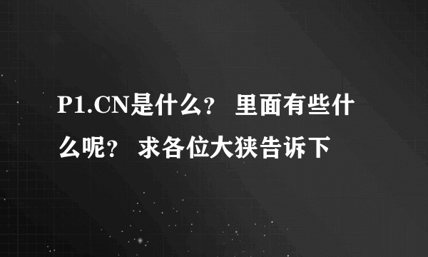 P1.CN是什么？ 里面有些什么呢？ 求各位大狭告诉下