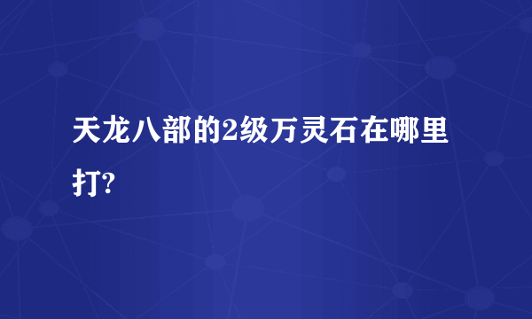 天龙八部的2级万灵石在哪里打?