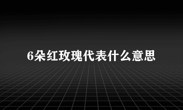 6朵红玫瑰代表什么意思