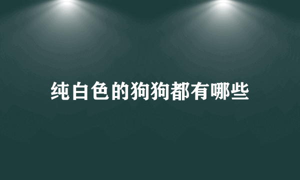 纯白色的狗狗都有哪些