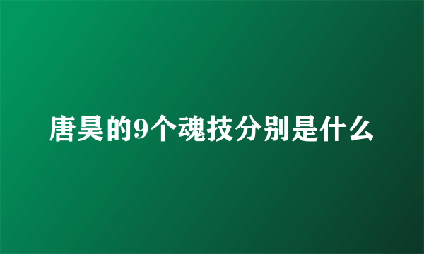 唐昊的9个魂技分别是什么