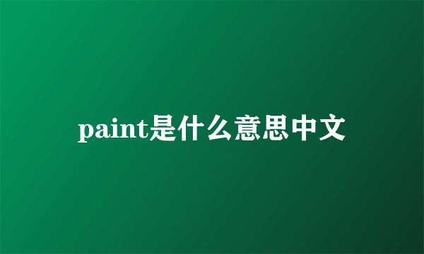 paint是什么意思中文