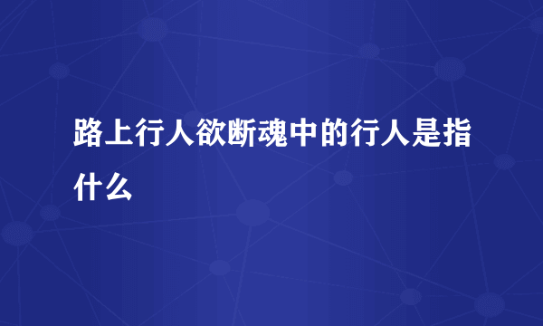 路上行人欲断魂中的行人是指什么