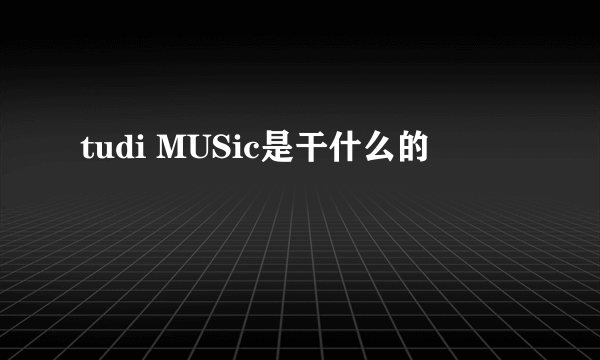 tudi MUSic是干什么的