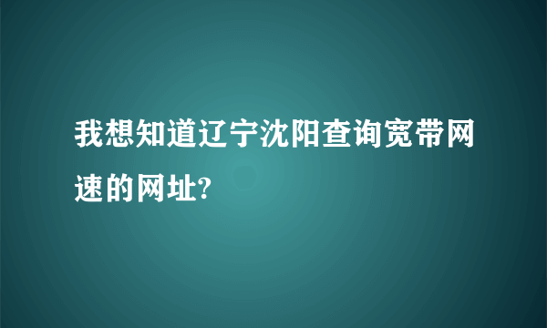 我想知道辽宁沈阳查询宽带网速的网址?