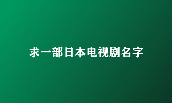 求一部日本电视剧名字