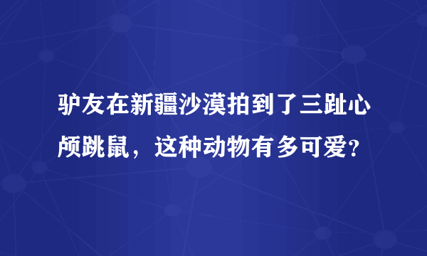 驴友在新疆沙漠拍到了三趾心颅跳鼠，这种动物有多可爱？