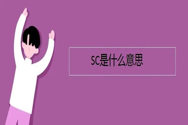 sc医学上是什么意思