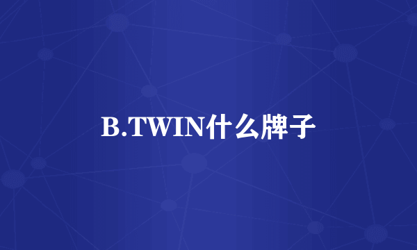 B.TWIN什么牌子