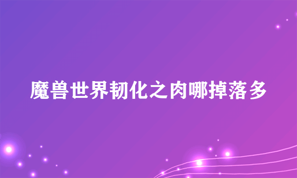 魔兽世界韧化之肉哪掉落多