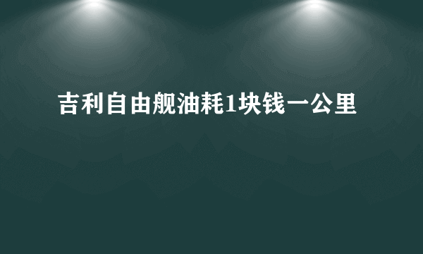 吉利自由舰油耗1块钱一公里