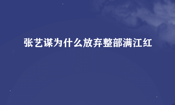 张艺谋为什么放弃整部满江红