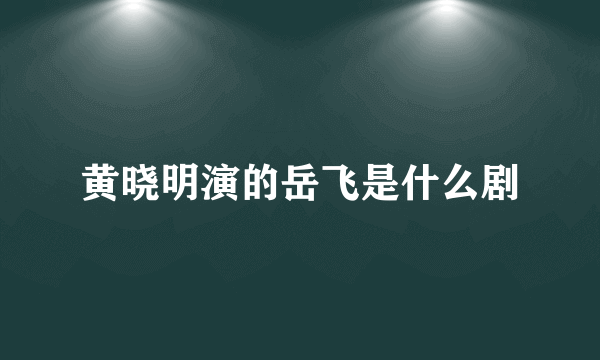 黄晓明演的岳飞是什么剧