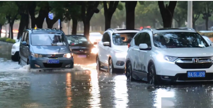 梅花将再登辽宁，大连等地将现大暴雨！应该做好哪些措施？