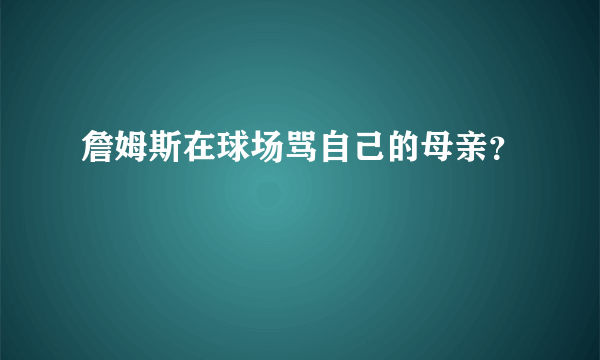 詹姆斯在球场骂自己的母亲？