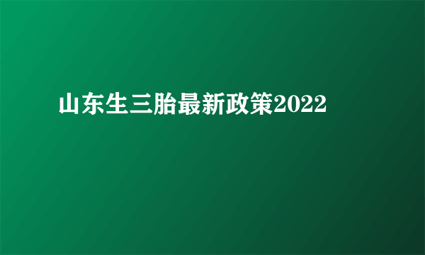 山东生三胎最新政策2022