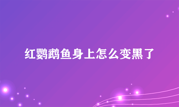 红鹦鹉鱼身上怎么变黑了