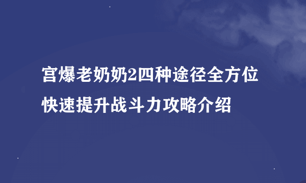 宫爆老奶奶2四种途径全方位快速提升战斗力攻略介绍